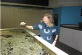 Kissing a Sea Cucumber