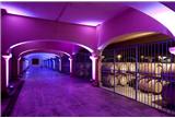 Vineyard New Year celebrations