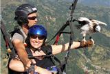 Tandem Parahawking