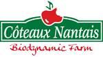 Cidre from Nantes