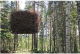Arctic TreeHotel