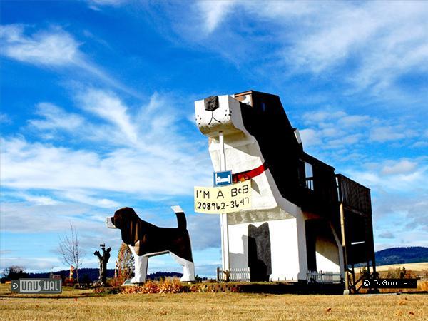 Dog Bark Park Inn