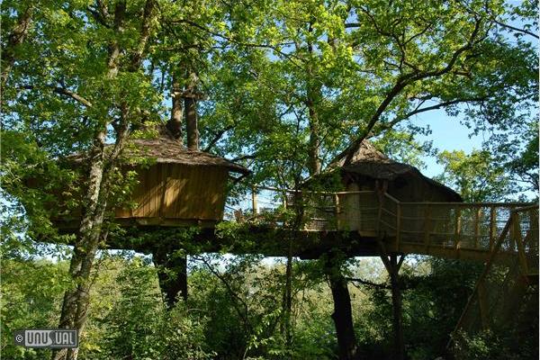 Les Alicourts Resort Treehouses