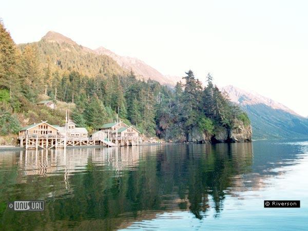 Sadie Cove Wilderness Lodge