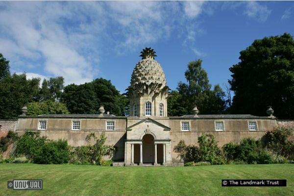 The Pineapple