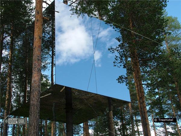 TreeHotel