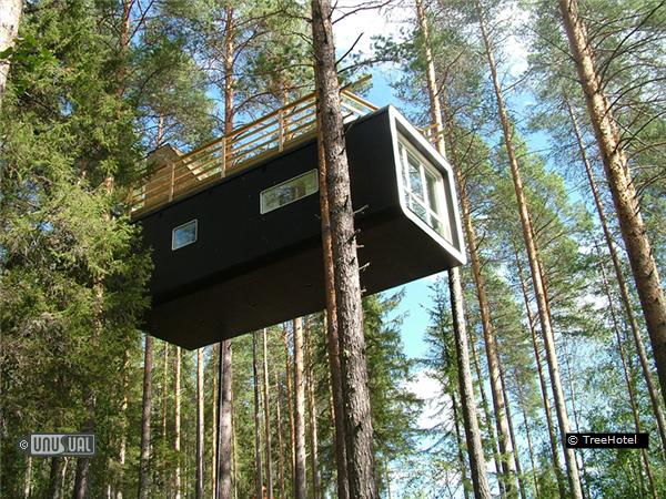 treehotel treehotel