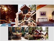 Alaska’s Tree House