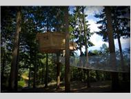 Cabanes als arbres