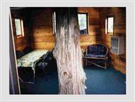 Cedar Creek Treehouse