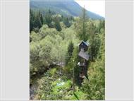 Cedar Creek Treehouse