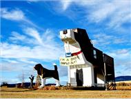 Dog Bark Park Inn