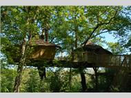 Les Alicourts Resort Treehouses