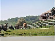 Livingstone Lodge