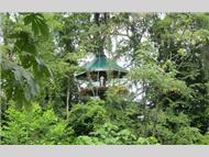 Nature Observatorio