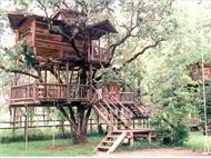 Out'n'About Treesort and Treehouse Institute