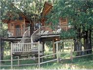 Out'n'About Treesort and Treehouse Institute