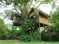 Parrot Nest Lodge