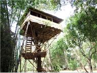 Safariland Treehouse Resort