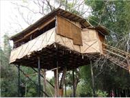 Safariland Treehouse Resort