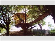 Sanya Nanshan Treehouse Resort and Beach Club