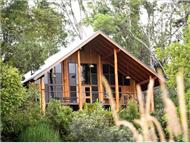 The Canopy Rainforest Tree- houses and Wildlife Sanctuary