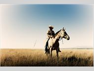 Vista Caballo