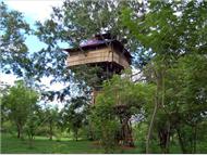Wild Canopy Reserve