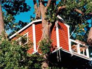 Woodpecker Hotel