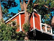 Woodpecker Hotel