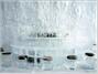 Aurora Ice Museum