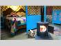 Black Mountain Yurt