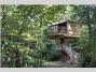 Cabanes als arbres
