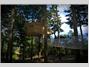 Cabanes als arbres