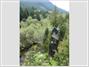 Cedar Creek Treehouse