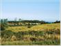 Costanoa Coastal Lodge & Camp