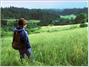 Costanoa Coastal Lodge & Camp