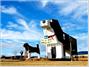 Dog Bark Park Inn