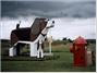 Dog Bark Park Inn