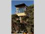 Hapuku Lodge & Tree Houses