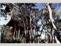 Hapuku Lodge & Tree Houses