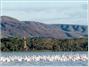 Hippo Point Wildlife Sanctuary