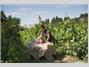 Les Jardins de Saint Benoit