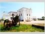 Masseria MONTENAPOLEONE