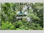 Nature Observatorio