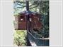 Out'n'About Treesort and Treehouse Institute
