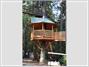 Out'n'About Treesort and Treehouse Institute
