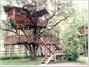 Out'n'About Treesort and Treehouse Institute