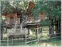 Out'n'About Treesort and Treehouse Institute