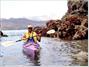 Sadie Cove Wilderness Lodge
